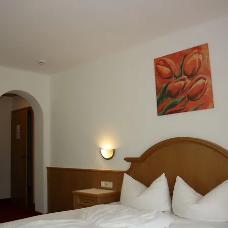 Hotel Garni Birkenhof Mayrhofen