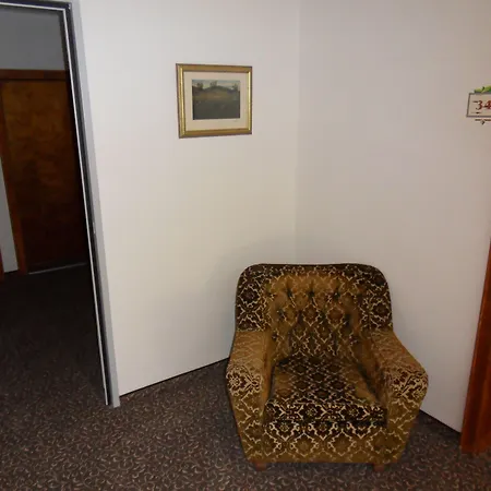 Hotel Garni Birkenhof Mayrhofen