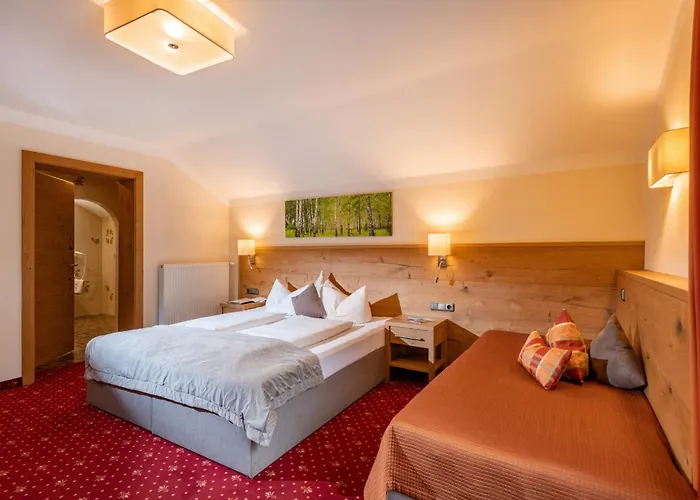 Hotel Garni Birkenhof Mayrhofen