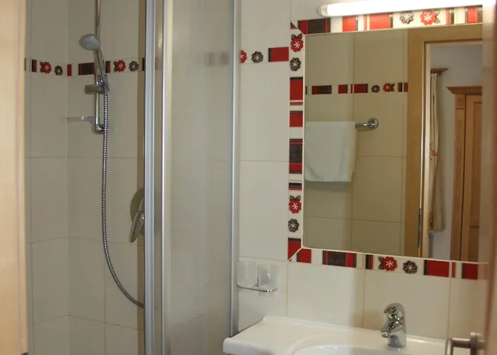 Garni Birkenhof 3* Майрхофен