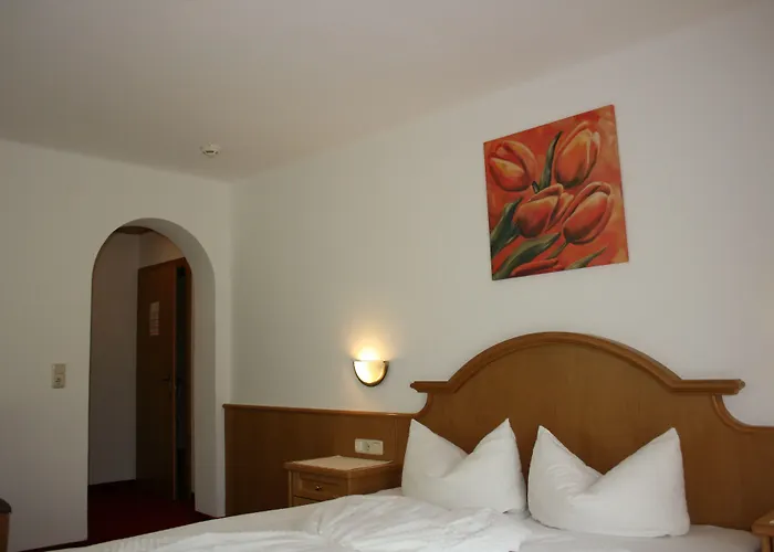 Otel Garni Birkenhof Mayrhofen