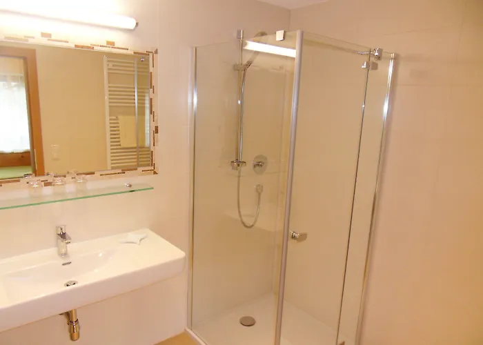 Отель Garni Birkenhof 3*