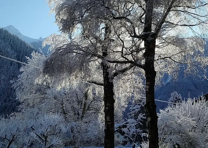 Garni Birkenhof Hotel 3*