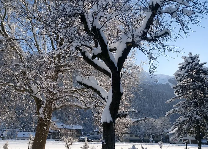 Garni Birkenhof Mayrhofen