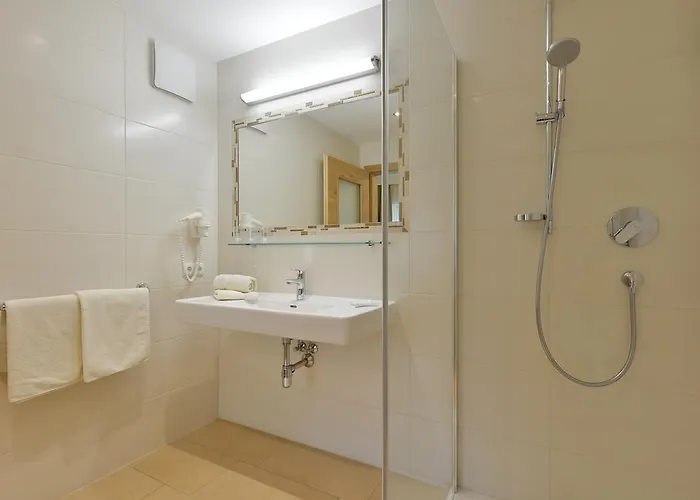 Garni Birkenhof Майрхофен