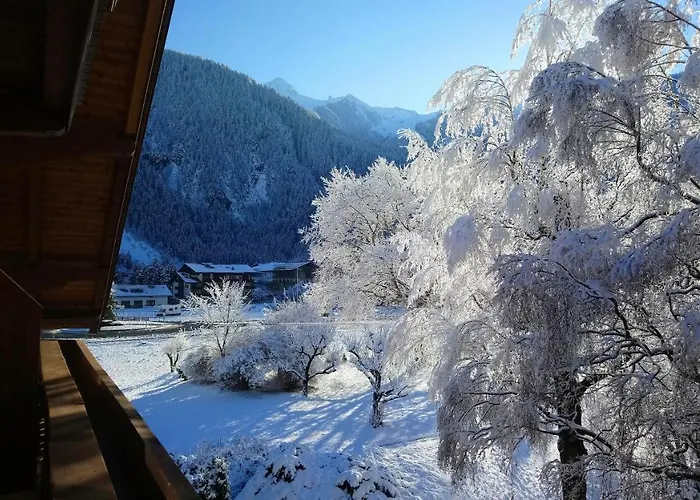 Garni Birkenhof Отель 3*