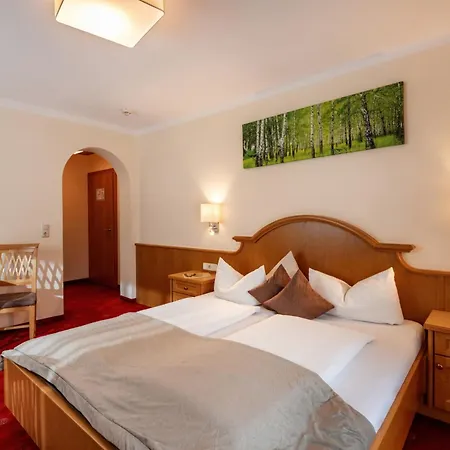 Garni Birkenhof 3* Майргофен