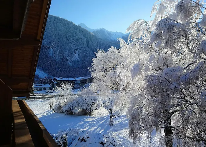 Garni Birkenhof מלון
